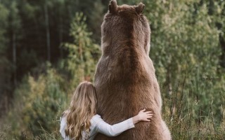 Воплощения в животном мире. Мое воплощение 2. Жизнь медведя.