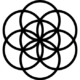 03-liniya-zhizni